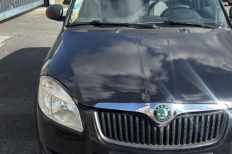 Mastervac SKODA FABIA 2