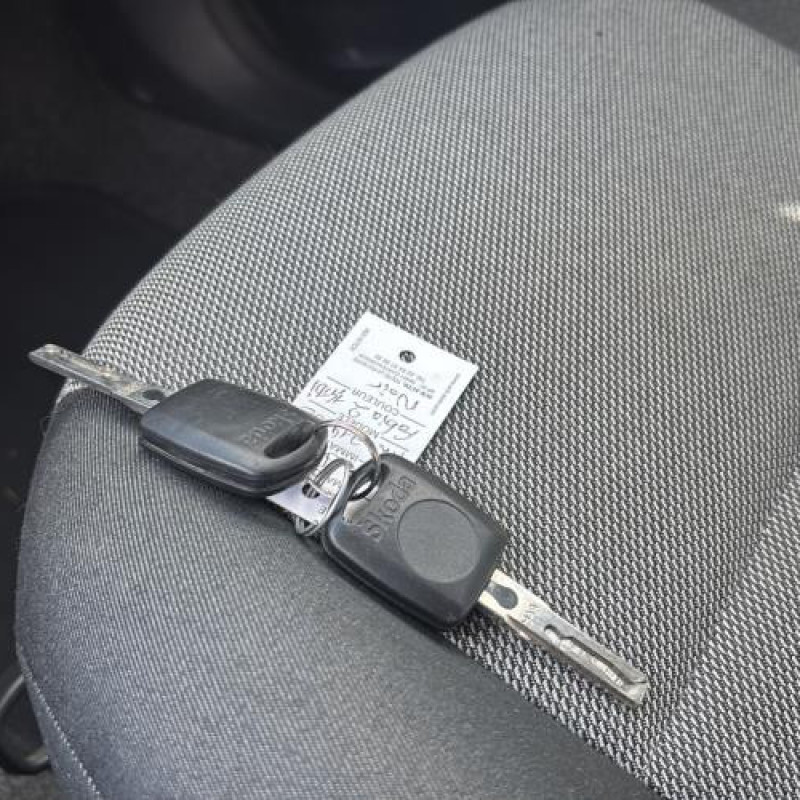 Mastervac SKODA FABIA 2 Photo n°20