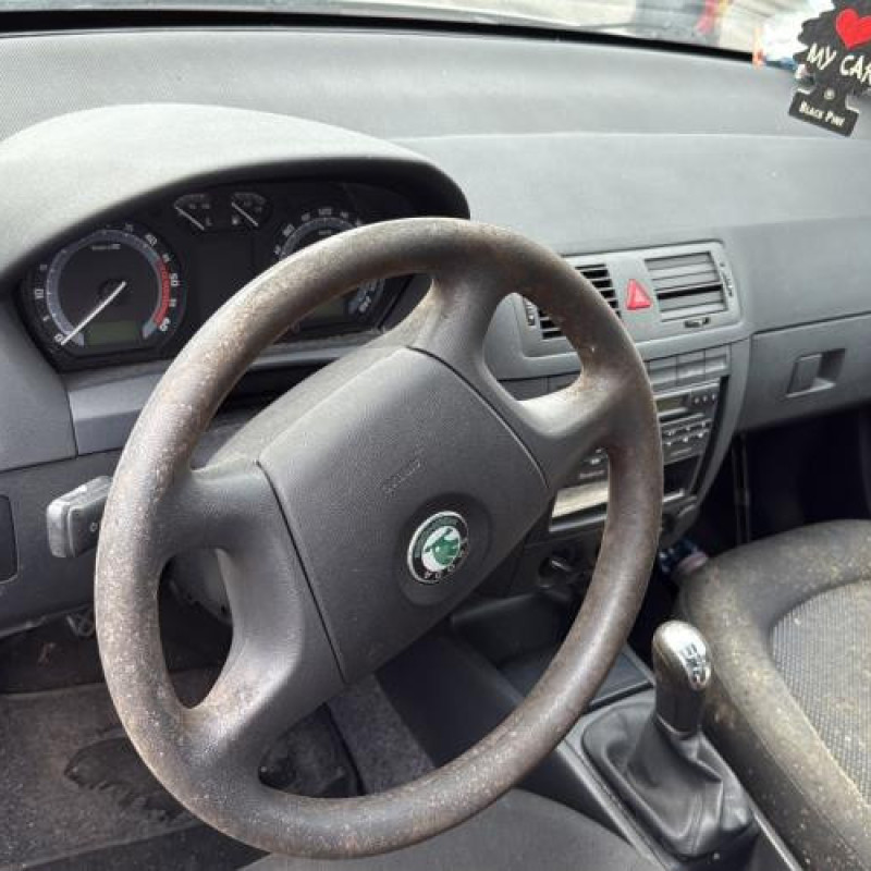 Mastervac SKODA FABIA 1 Photo n°10