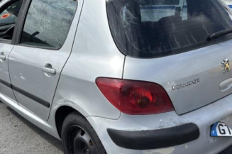 Boitier BSI PEUGEOT 307