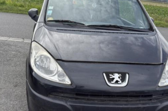 Custode arriere droit PEUGEOT 1007