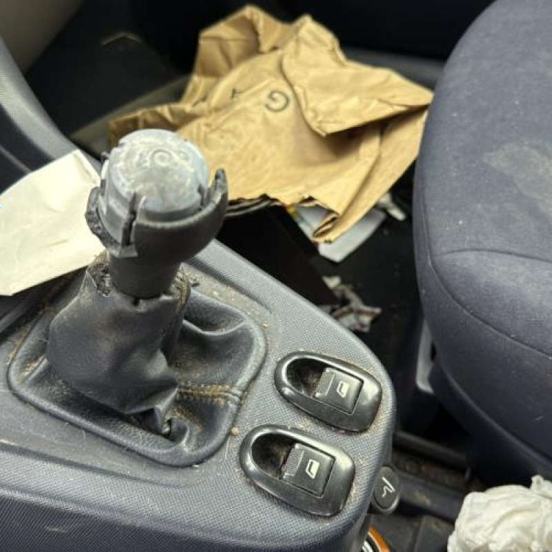 Custode arriere droit PEUGEOT 1007 Photo n°20