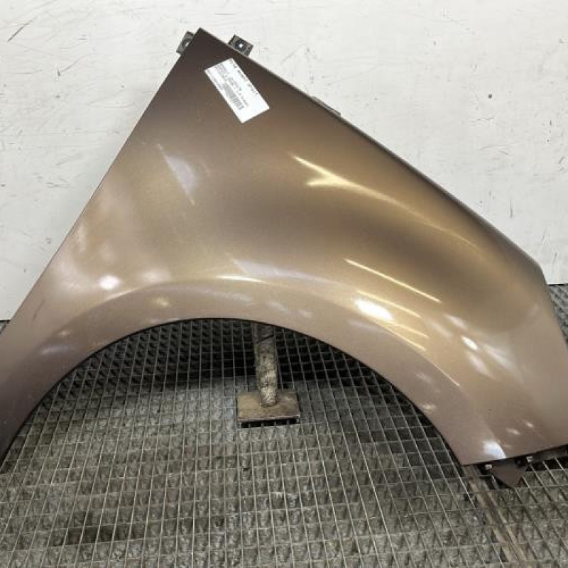 Aile avant droit RENAULT SCENIC 3 Photo n°1