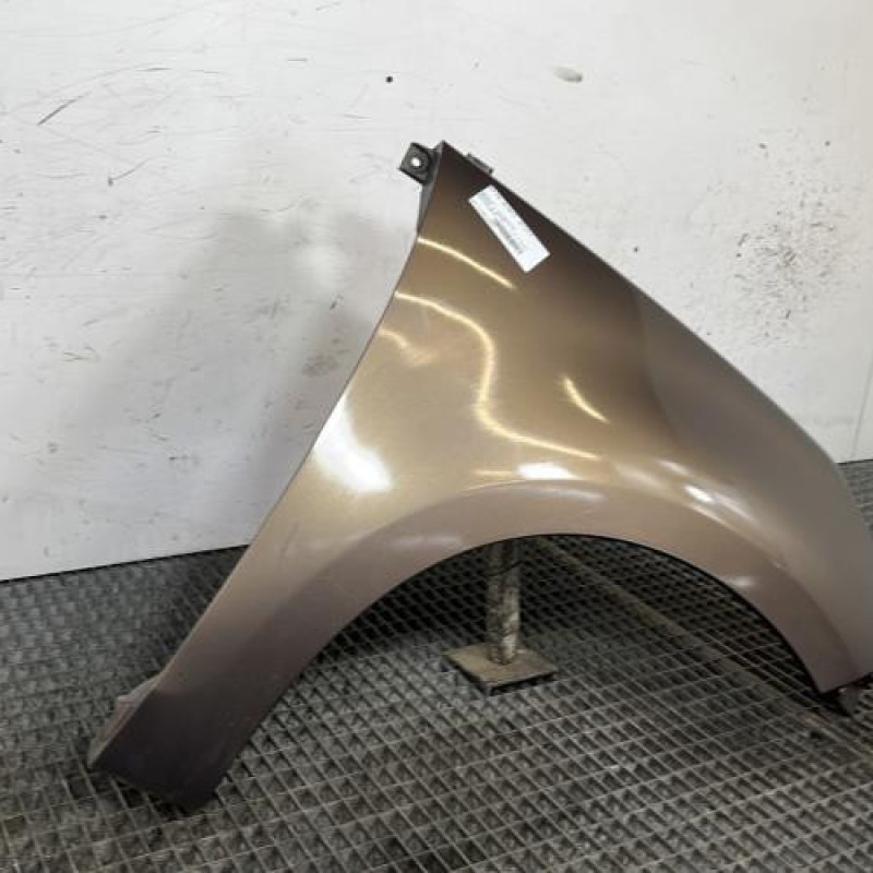 Aile avant droit RENAULT SCENIC 3 Photo n°3