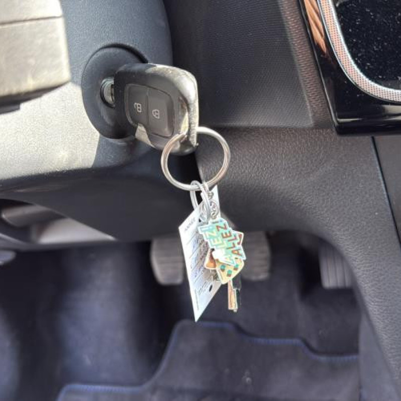 Amortisseur avant droit DACIA SANDERO 2 Photo n°18