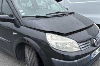 Custode arriere gauche RENAULT SCENIC 2