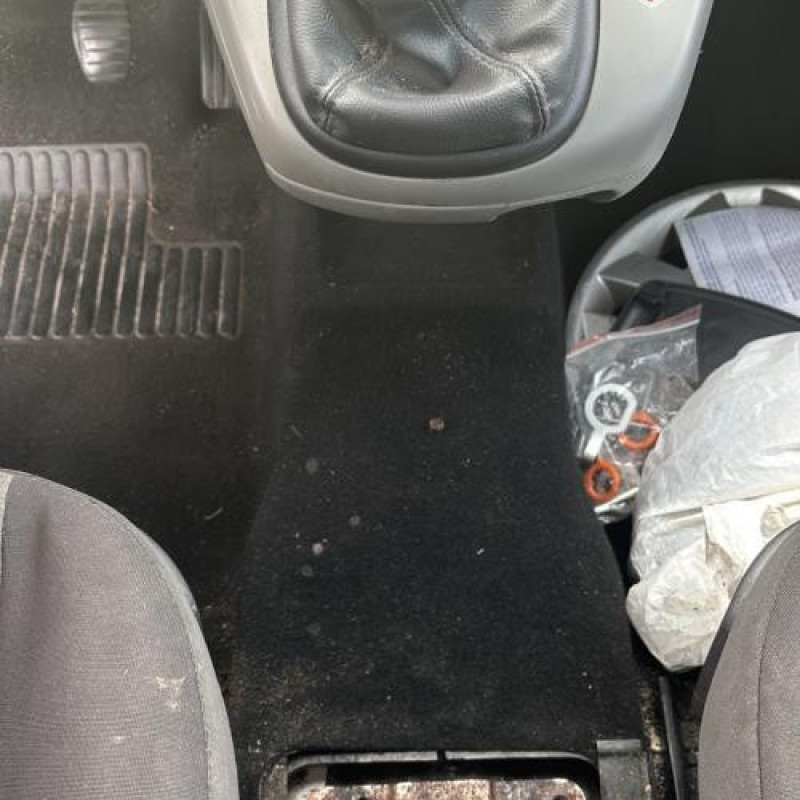 Feu arriere principal gauche (feux) RENAULT SCENIC 2 Photo n°19