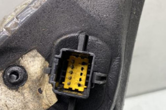 Retroviseur gauche RENAULT SCENIC 2