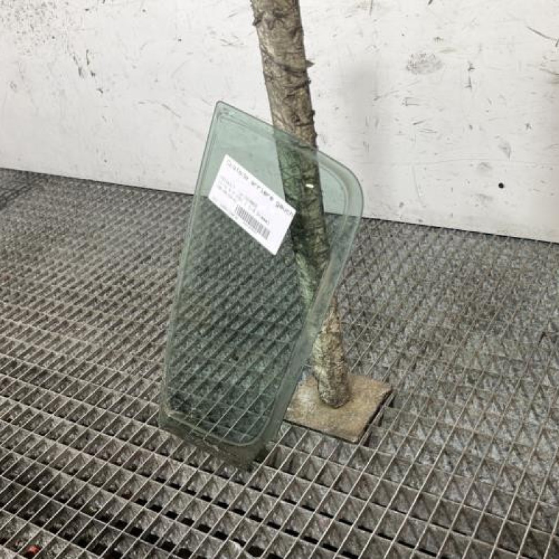 Custode arriere gauche (porte) RENAULT CLIO 3 Photo n°3