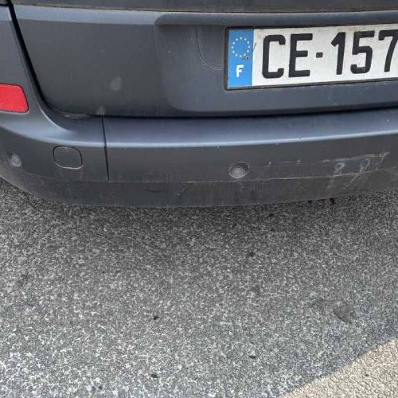 Custode arriere droit RENAULT SCENIC 2 Photo n°9