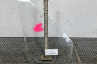 Custode avant droit (porte) RENAULT TRAFIC 1 Photo n°1