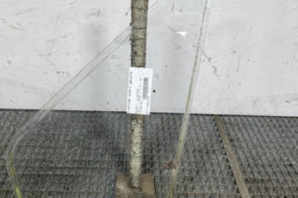 Custode avant gauche (porte) RENAULT TRAFIC 1 Photo n°1