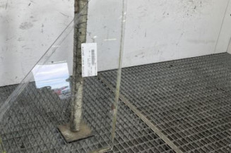 Custode avant gauche (porte) RENAULT TRAFIC 1