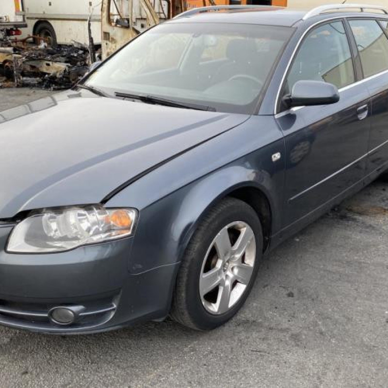 Vitre arriere droit AUDI A4 2 Photo n°14