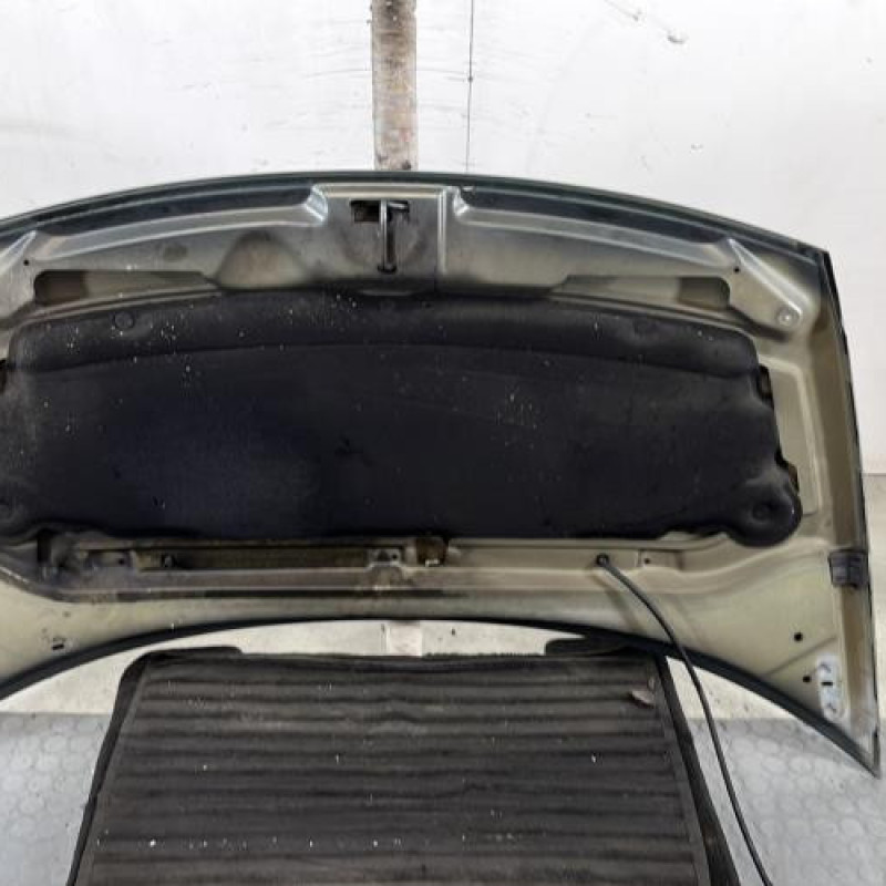 Capot CITROEN C3 1 Photo n°9