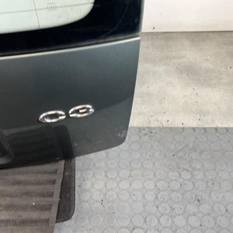 Malle/Hayon arriere CITROEN C3 1 Photo n°4