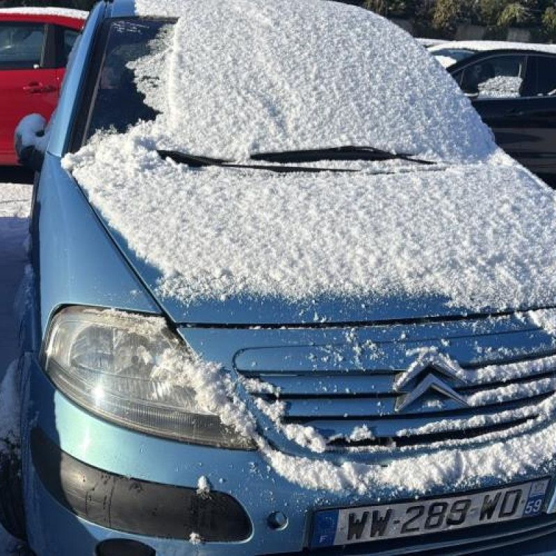 Porte avant droit CITROEN C3 1 Photo n°10