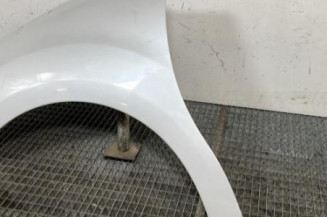 Aile avant gauche DS DS3