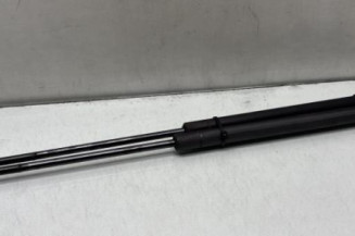 Verin de coffre VOLKSWAGEN GOLF 4 Photo n°1