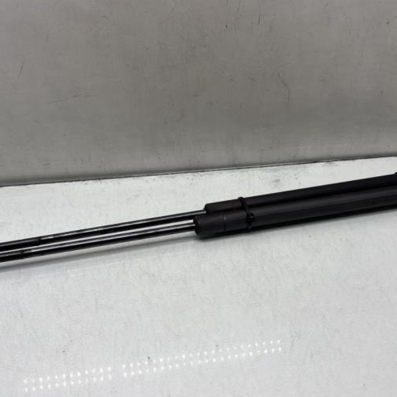 Verin de coffre VOLKSWAGEN GOLF 4 Photo n°1