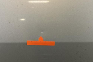 Porte avant gauche RENAULT SCENIC 2