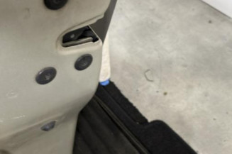 Porte avant gauche RENAULT SCENIC 2