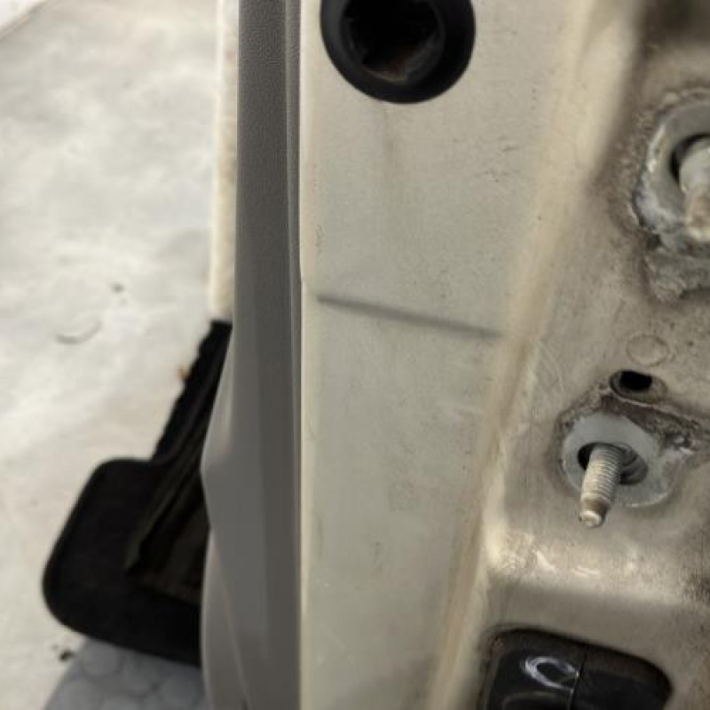 Porte avant gauche RENAULT SCENIC 2 Photo n°5