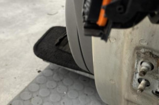 Porte avant gauche RENAULT SCENIC 2