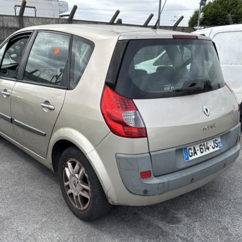 Porte avant gauche RENAULT SCENIC 2 Photo n°11