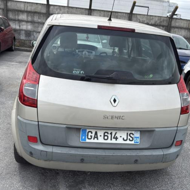 Porte avant gauche RENAULT SCENIC 2 Photo n°12