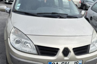 Porte avant gauche RENAULT SCENIC 2