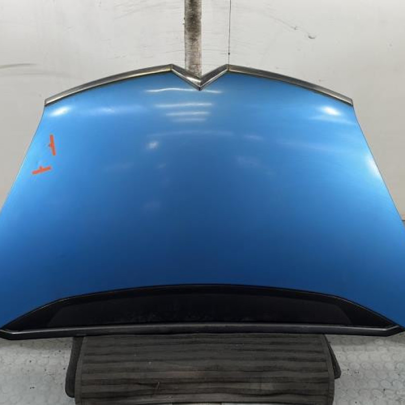 Capot CITROEN C4 PICASSO 1 Photo n°1