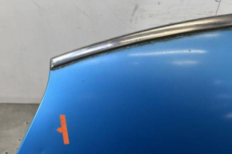 Capot CITROEN C4 PICASSO 1