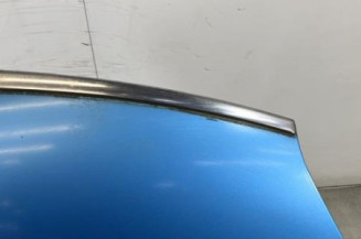 Capot CITROEN C4 PICASSO 1