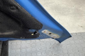 Capot CITROEN C4 PICASSO 1