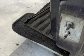 Porte avant gauche RENAULT MODUS