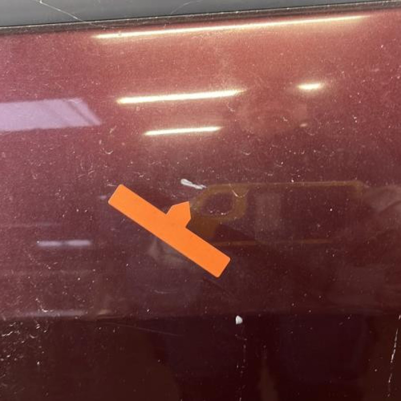 Porte avant gauche RENAULT SCENIC 2 Photo n°2