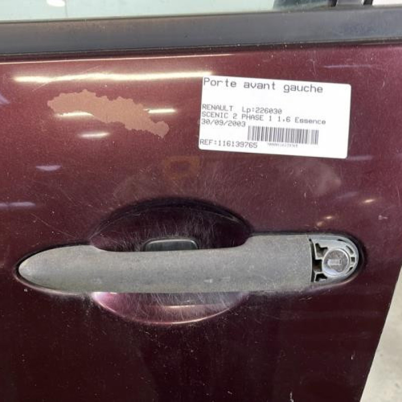Porte avant gauche RENAULT SCENIC 2 Photo n°3