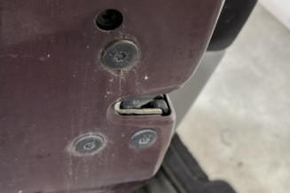 Porte avant gauche RENAULT SCENIC 2