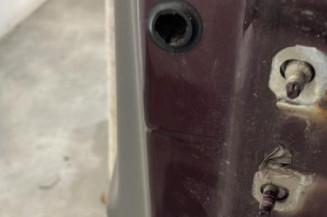 Porte avant gauche RENAULT SCENIC 2