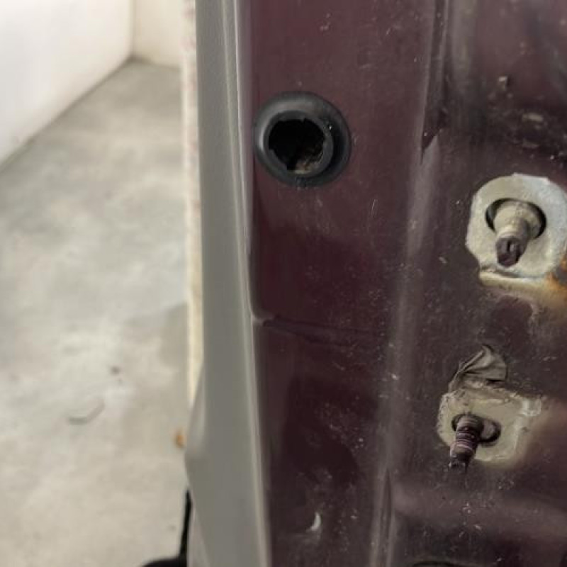 Porte avant gauche RENAULT SCENIC 2 Photo n°5