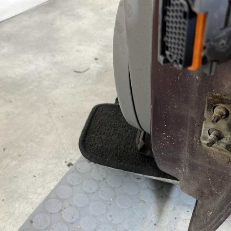 Porte avant gauche RENAULT SCENIC 2 Photo n°6