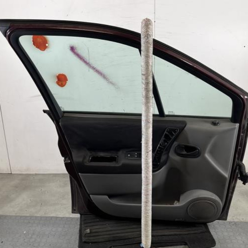 Porte avant gauche RENAULT SCENIC 2 Photo n°7