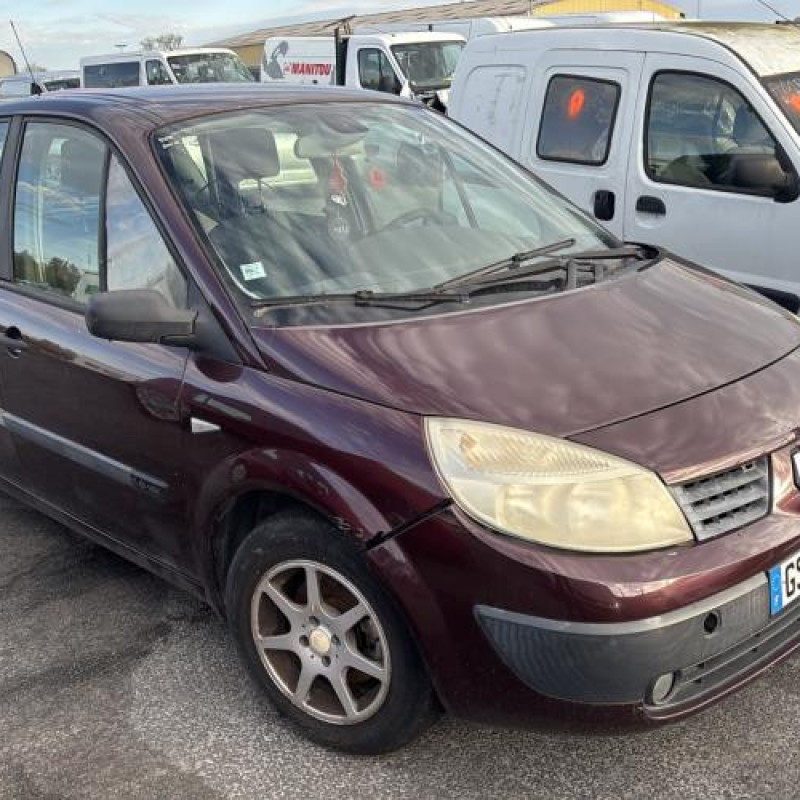 Porte avant gauche RENAULT SCENIC 2 Photo n°8
