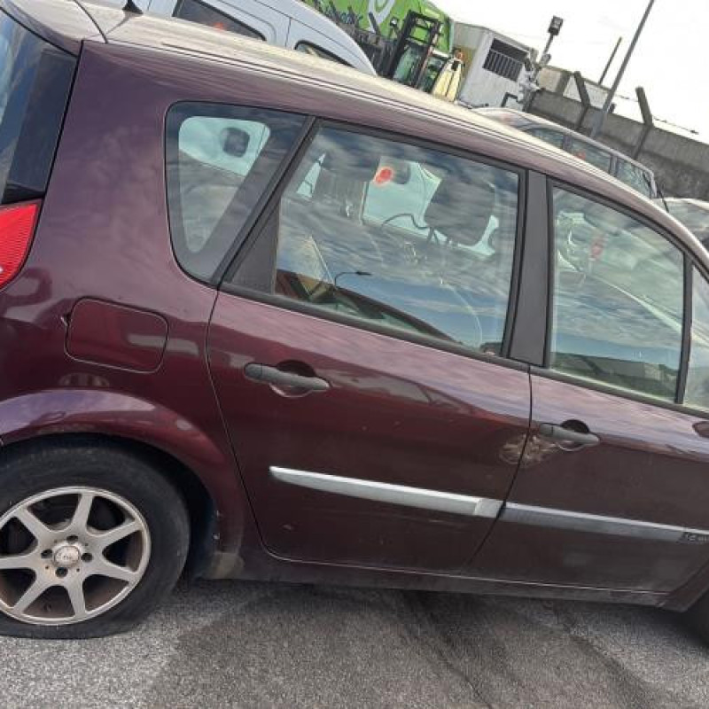 Porte avant gauche RENAULT SCENIC 2 Photo n°13