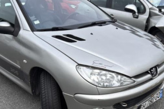 Aile avant gauche PEUGEOT 206