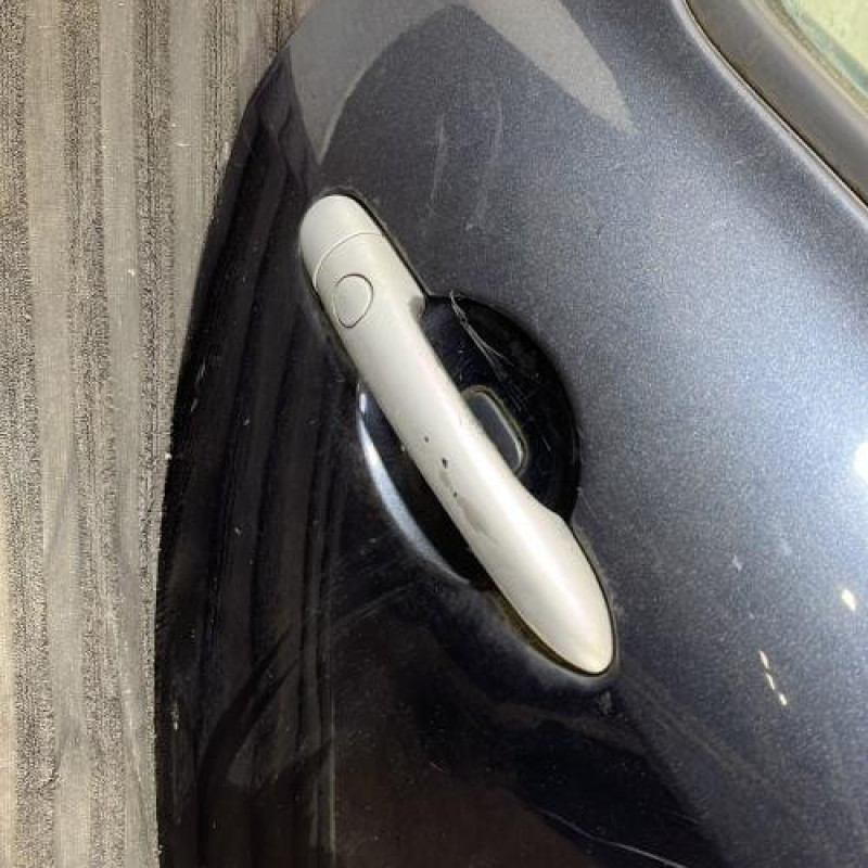 Porte arriere droit RENAULT CLIO 3 Photo n°2