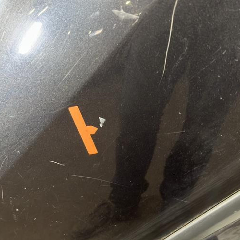 Porte arriere droit RENAULT CLIO 3 Photo n°3