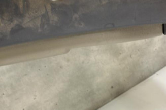 Porte arriere droit RENAULT CLIO 3