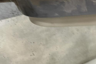 Porte arriere droit RENAULT CLIO 3